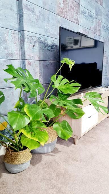 גלאזגו Stylish 2 Bedroom Apartment / Free Gated Parking מראה חיצוני תמונה